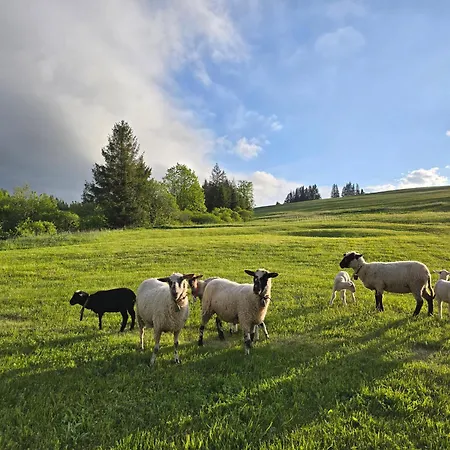 Palčovka - U Ondry A U Andělky